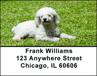 White Poodle Address Labels | LBBAC-61