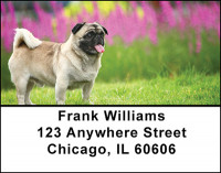 Pug Dog Breed Address Labels | LBBAC-62