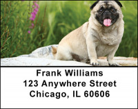 Pug Dog Breed Address Labels | LBBAC-62