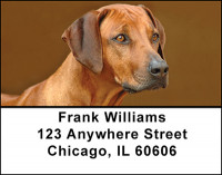 Rhodesian Ridgeback Dog Address Labels | LBBAC-63