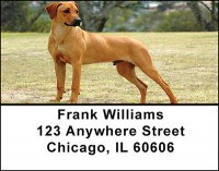 Rhodesian Ridgeback Dog Address Labels | LBBAC-63