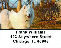 Samoyede Dog Breed Address Labels | LBBAC-64