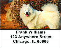 Samoyede Dog Breed Address Labels | LBBAC-64