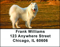 Samoyede Dog Breed Address Labels | LBBAC-64
