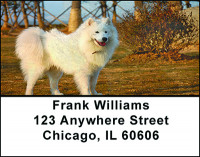 Samoyede Dog Breed Address Labels | LBBAC-64