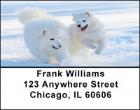 Samoyede Dogs Address Labels | LBBAC-65