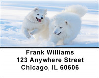 Samoyede Dogs Address Labels | LBBAC-65