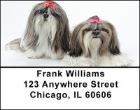 Shih Tzu Dog Breed Address Labels | LBBAC-66