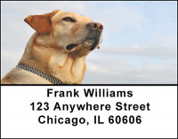 Yellow Labrador Address Labels | LBBAC-71