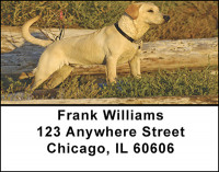 Yellow Labrador Address Labels | LBBAC-71