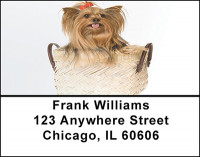 Yorkshire Terrier Dog Address Labels | LBBAC-72
