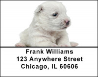 Westie Puppies Address labels | LBBAC-73
