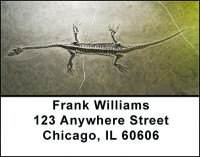Big Dinosaurs Address Labels | LBBAC-75