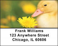 Little Yellow Ducklings Address Labels | LBBAC-77