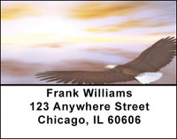 Bald Eagle Address Labels | LBBAC-80