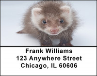 Ferret Fun Address Labels | LBBAC-86