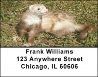 Ferret Fun Address Labels | LBBAC-86