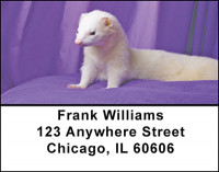 Ferret Fun Address Labels | LBBAC-86
