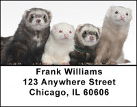 Ferrets Address Labels | LBBAC-87