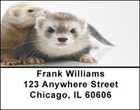 Ferrets Address Labels | LBBAC-87