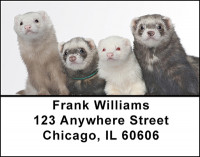 Ferrets Address Labels | LBBAC-87
