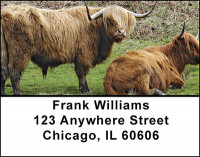 Highland Cattle Address Labels | LBBAC-93