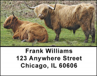 Highland Cattle Address Labels | LBBAC-93
