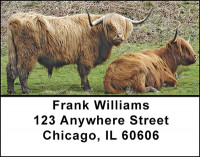Highland Cattle Address Labels | LBBAC-93