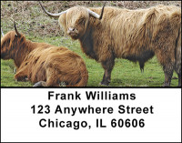 Highland Cattle Address Labels | LBBAC-93