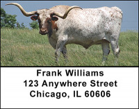 Longhorns Address Labels | LBBAC-94