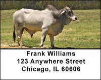 Bulls Address Labels | LBBAC-95