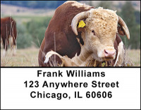 Bulls Address Labels | LBBAC-95