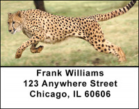 Cheetah Address Labels | LBBAC-97