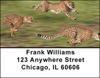 Cheetah Address Labels | LBBAC-97