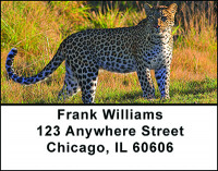 Leopards Address Labels | LBBAD-03
