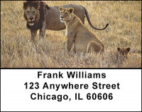 Lion Family Address Labels | LBBAD-04