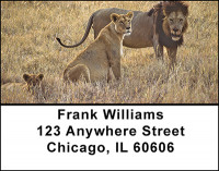 Lion Family Address Labels | LBBAD-04