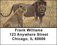 Lion Family Address Labels | LBBAD-04