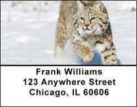 Lynx Action Address Labels | LBBAD-06