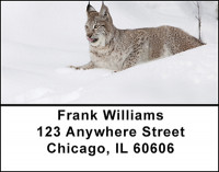 Lynx Action Address Labels | LBBAD-06