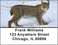 Lynx Action Address Labels | LBBAD-06