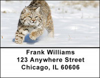 Lynx Action Address Labels | LBBAD-06