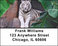White Tigers Address Labels | LBBAD-07