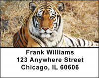 Tiger Address Labels | LBBAD-08