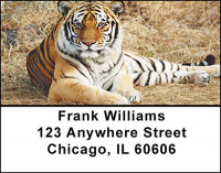 Tiger Address Labels | LBBAD-08
