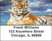 Tiger Address Labels | LBBAD-08
