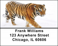 Tiger In Snow Address Labels | LBBAD-09