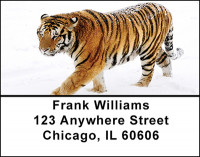 Tiger In Snow Address Labels | LBBAD-09