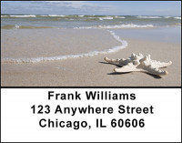 Starfish on a Beach Address Labels | LBBAD-10