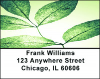 Mystical Foliage Address Labels | LBBAD-27